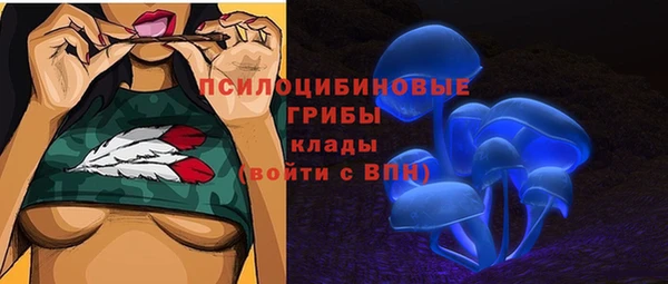 прущая мука Гусиноозёрск
