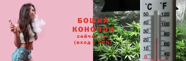 прущая мука Гусиноозёрск